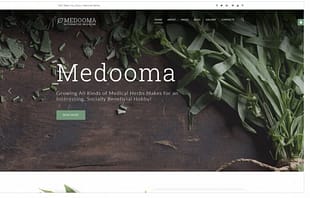Medooma - Alternative Medicine Joomla Template