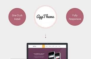 MyThemeShop AppTheme WordPress Theme