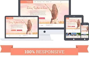MyThemeShop Salvation WordPress Theme
