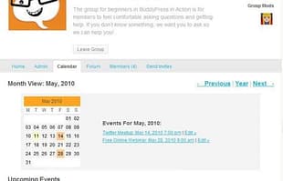 WPMU DEV BuddyPress Group Calendar