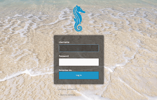 WPMU DEV Ultimate Branding