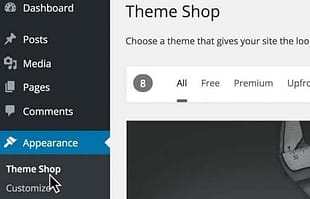 WPMU DEV Multisite Theme Manager