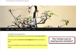 WPMU DEV Remove Email Verification