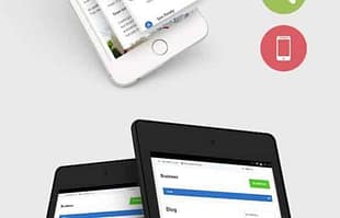 MyThemeShop Business WordPress Theme