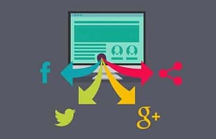 WPMU DEV Google plus WordPress Plugin