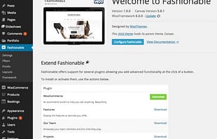 WooThemes Fashionable Premium Theme