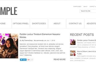 MyThemeShop Simple WordPress Theme