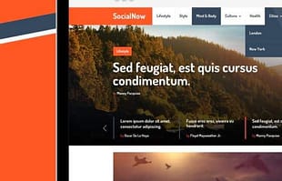 MyThemeShop SocialNow WordPress Theme