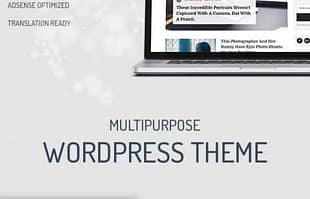 MyThemeShop Writer WordPress Theme