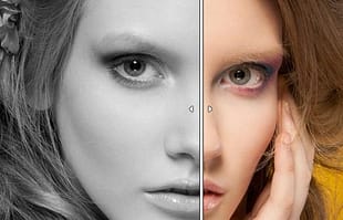 Themify Builder AB Image Addon