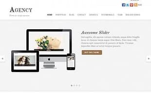 Themify Agency WordPress Theme