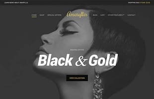 CSSIgniter Amaryllis WordPress Theme