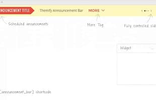 Themify Announcement Bar WordPress Plugin