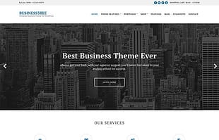 CSSIgniter Business3ree WordPress Theme