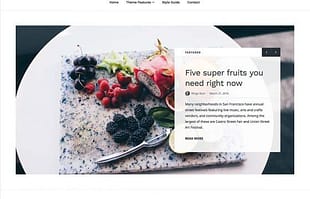Array Themes Baseline WordPress Theme