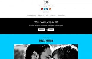 Themify Bold WordPress Theme