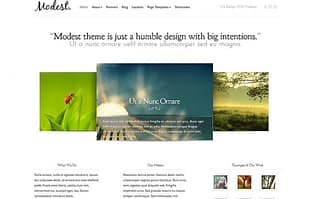 Elegant Themes Modest WordPress Theme