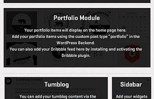 WooThemes Elefolio Premium Theme