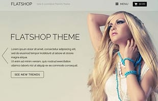Themify Flatshop WooCommerce Themes