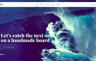 CSSIgniter Flevr WordPress Theme