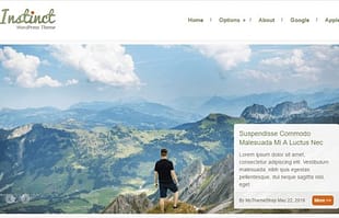 MyThemeShop Instinct WordPress Theme