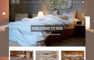 YITH Iris Premium WooCommerce Themes