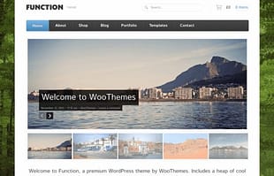 Woothemes Function WooCommerce Themes