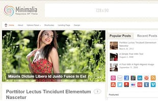 MyThemeShop Minimalia WordPress Theme