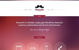 CSSIgniter Mustache WordPress Theme