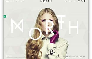 North - Responsive WooCommerce Theme
