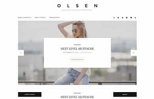 CSSIgniter Olsen WordPress Theme