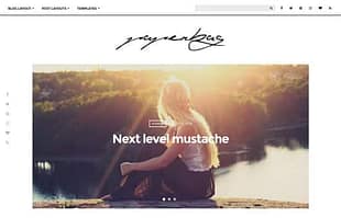 CSSIgniter Paperbag WordPress Theme