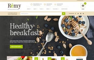 Remy Premium WooCommerce Themes