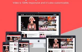 MyThemeShop Video WordPress Theme