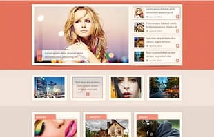 MyThemeShop Repose WordPress Theme