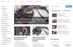 MyThemeShop Split WordPress Theme