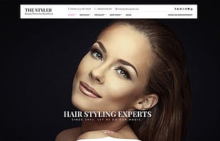 CSSIgniter The Styler WordPress Theme