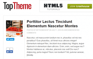 MyThemeShop Top WordPress Theme