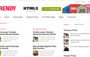 MyThemeShop Trendy WordPress Theme