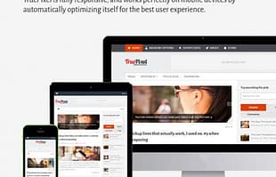 MyThemeShop TruePixel WordPress Theme