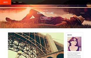 CSSIgniter Uberto WordPress Theme