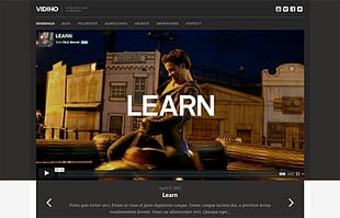 CSSIgniter Vidiho WordPress Theme