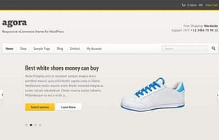 CSSIgniter Agora WordPress Theme