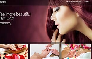 CSSIgniter Beaute WordPress Theme