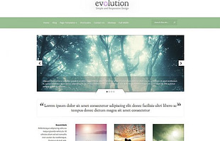 Elegant Themes Evolution WordPress