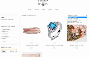 Tesla Themes Beatrix WordPress