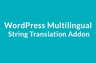 WordPress Multilingual String Translation Addon