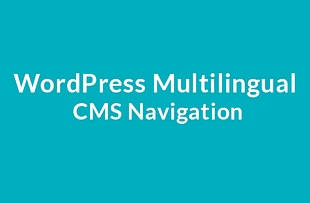 WordPress Multilingual CMS Navigation