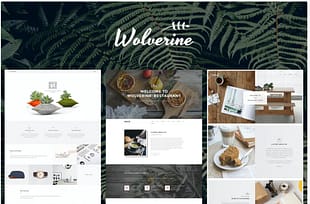 Wolverine - Multipurpose Website PSD