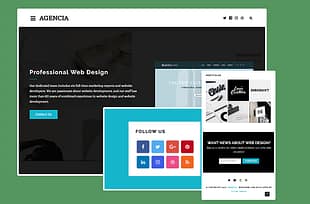 Theme Junkie Agencia WordPress